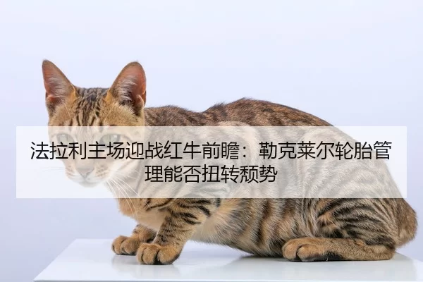 fa-la-li-zhu-chang-ying-zhan-hong-niu-qian-zhan-lei-ke-lai-er-lun-tai-guan-li-neng-fou-niu-zhuan-tui-shi-2-385.jpg