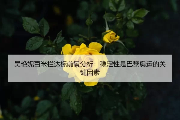 吴艳妮百米栏达标前景分析：稳定性是巴黎奥运的关键因素