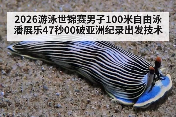 2026游泳世锦赛男子100米自由泳潘展乐47秒00破亚洲纪录出发技术