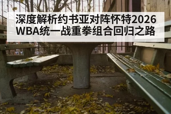 深度解析约书亚对阵怀特2026WBA统一战重拳组合回归之路