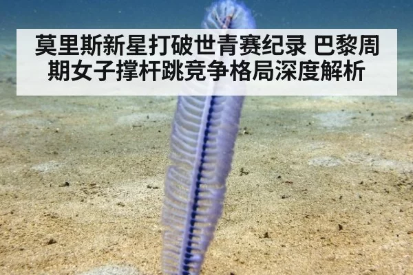 莫里斯新星打破世青赛纪录 巴黎周期女子撑杆跳竞争格局深度解析